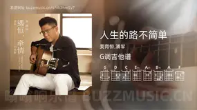 人生的路不简单 姜育恒,潘军 吉他谱G调简单版