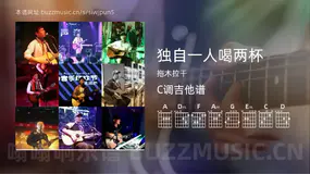 独自一人喝两杯 拖木拉干 吉他谱C调简单版