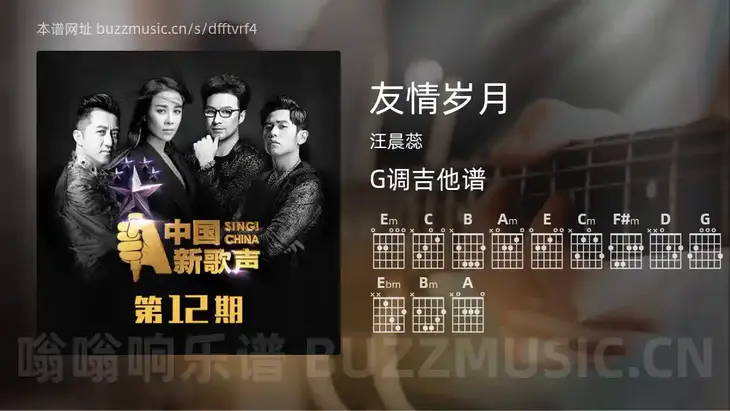 友情岁月吉他谱G调 汪晨蕊 简单版