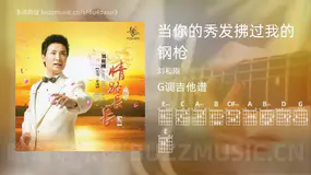 当你的秀发拂过我的钢枪 刘和刚 吉他谱G调简单版