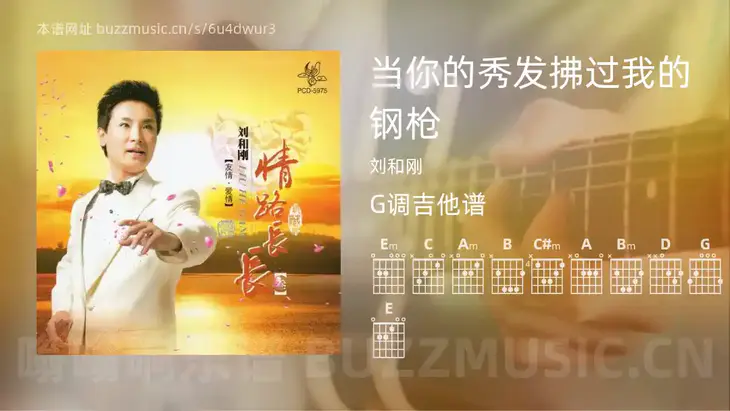 当你的秀发拂过我的钢枪 刘和刚 吉他谱G调简单版