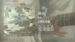 消化 任灿 吉他谱G调简单版