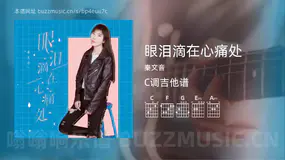 眼泪滴在心痛处 秦文音 吉他谱C调简单版