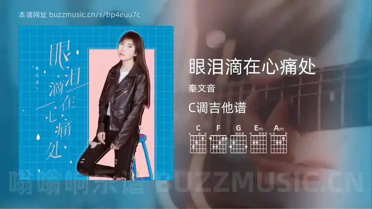眼泪滴在心痛处 秦文音 吉他谱C调简单版