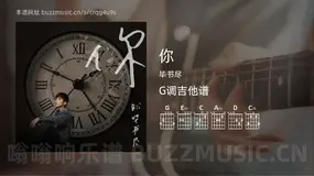 你 毕书尽 吉他谱G调简单版