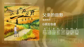 父亲的田野 海来阿木 吉他谱G调简单版
