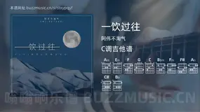 一饮过往 阿伟不淘气 吉他谱C调简单版