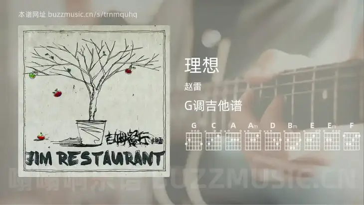 理想 赵雷 吉他谱G调简单版