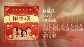 萱草花 张小斐 吉他谱G调简单版