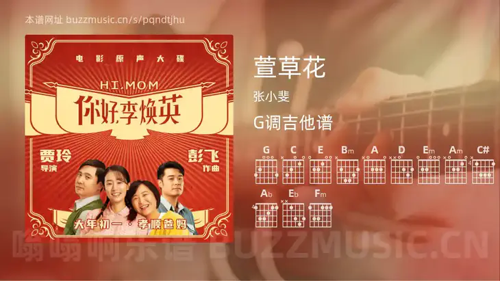 萱草花 张小斐 吉他谱G调简单版