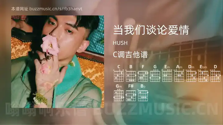 当我们谈论爱情吉他谱C调 HUSH 简单版