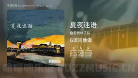 夏夜迷语 盘尼西林乐队 吉他谱G调简单版
