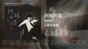 阿妹的酒 海来阿木 吉他谱G调简单版