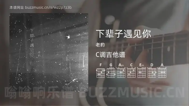 下辈子遇见你吉他谱C调 老豹 简单版