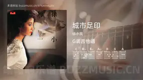 城市足印 徐小凤 吉他谱G调简单版