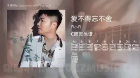 爱不得忘不舍 白小白 吉他谱C调简单版