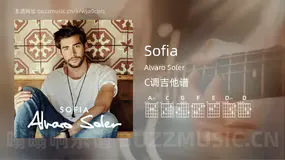 Sofia Alvaro Soler 吉他谱C调简单版
