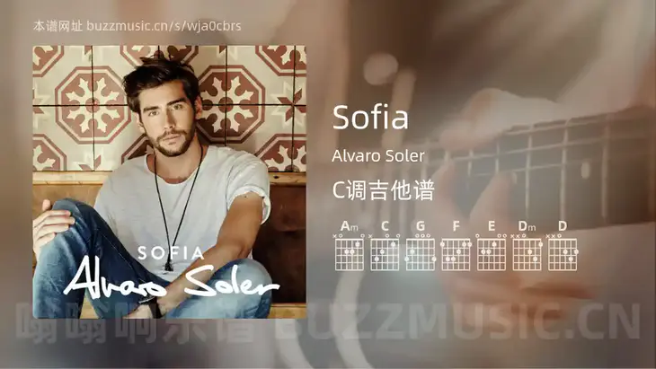 Sofia Alvaro Soler 吉他谱C调简单版
