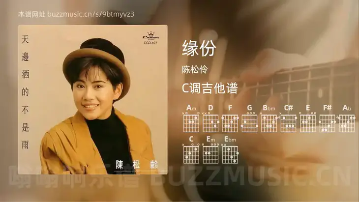 缘份 陈松伶 吉他谱C调简单版