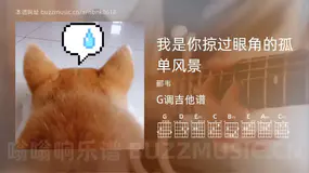 我是你掠过眼角的孤单风景吉他谱G调 郦韦 简单版