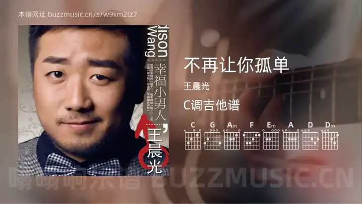 不再让你孤单 王晨光 吉他谱C调简单版