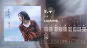 影子 王菲 吉他谱G调简单版
