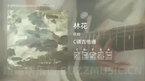 林花 任灿 吉他谱C调简单版