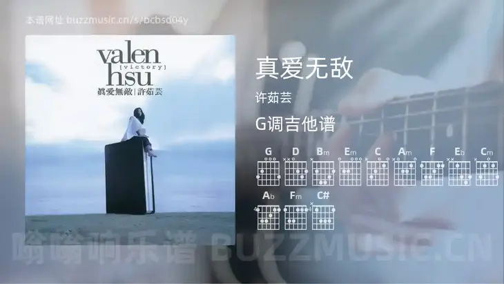 真爱无敌 许茹芸 吉他谱G调简单版
