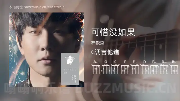 可惜没如果 林俊杰 吉他谱C调简单版