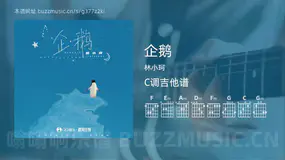 企鹅 林小珂 吉他谱C调简单版