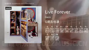 Live Forever Oasis 吉他谱G调简单版