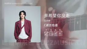 多希望你没走 王小帅 吉他谱C调简单版