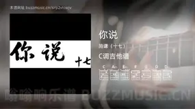 你说 施谦（十七） 吉他谱C调简单版