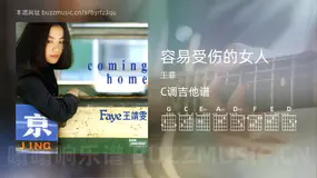 容易受伤的女人 王菲 吉他谱C调简单版