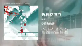 折枝花满衣 泽典 吉他谱G调简单版