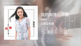 我的痴情你不懂 魏新雨 吉他谱G调简单版