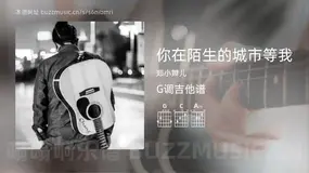 你在陌生的城市等我 郑小辫儿 吉他谱G调简单版