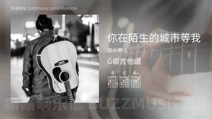 你在陌生的城市等我 郑小辫儿 吉他谱G调简单版