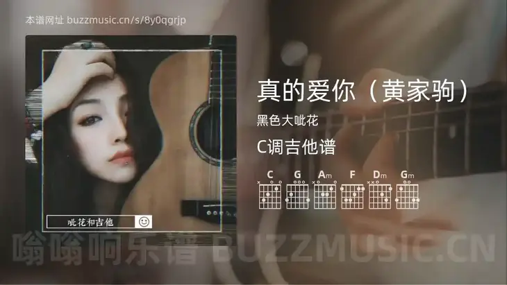 真的爱你（黄家驹） 黑色大呲花 吉他谱C调简单版