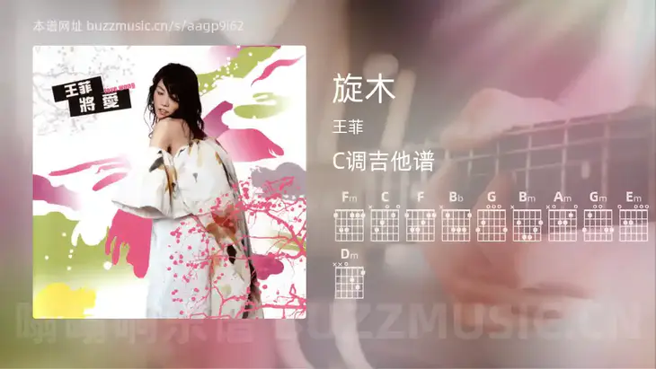 旋木 王菲 吉他谱C调简单版