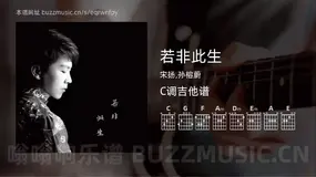 若非此生 宋扬,孙榕蔚 吉他谱C调简单版
