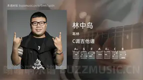 林中鸟 葛林 吉他谱C调简单版