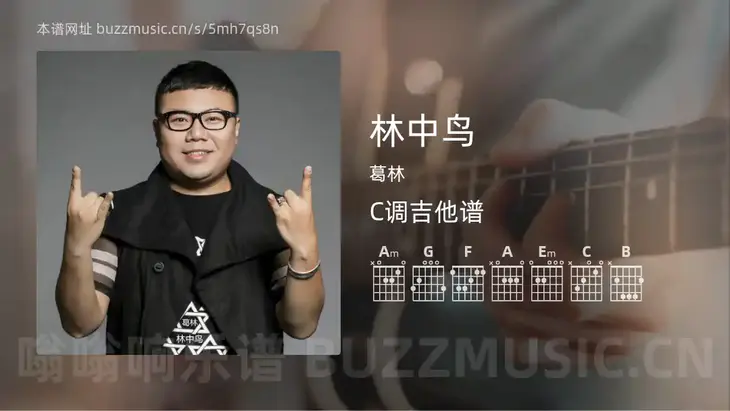 林中鸟 葛林 吉他谱C调简单版
