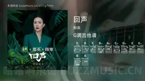 回声 那英 吉他谱G调简单版