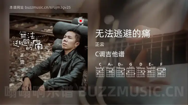 无法逃避的痛 正云 吉他谱C调简单版