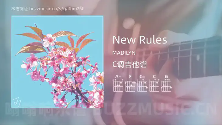 New Rules MADILYN 吉他谱C调简单版