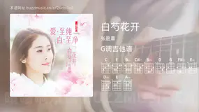 白芍花开吉他谱G调 张碧晨 简单版