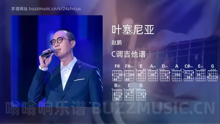 叶塞尼亚 赵鹏 吉他谱C调简单版