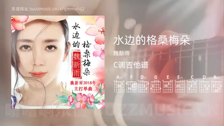 水边的格桑梅朵 魏新雨 吉他谱C调简单版