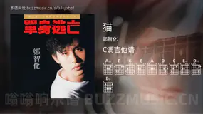 猫吉他谱C调 郑智化 简单版